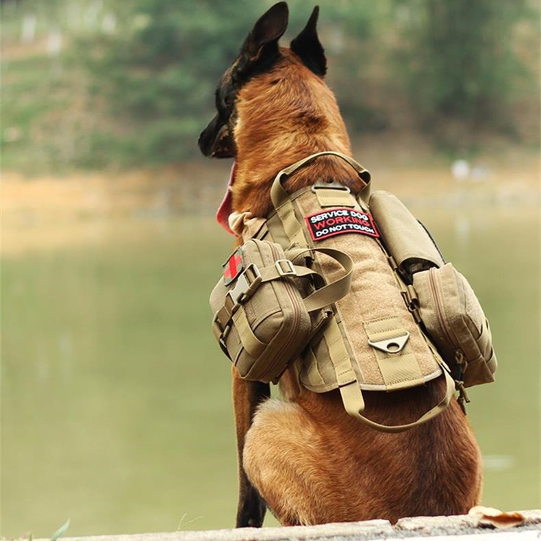 Adjustable Tactical Dog Harness with MOLLE Webbing - Image 4