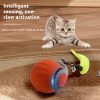 Rolling Silicone Cat Ball with Tail