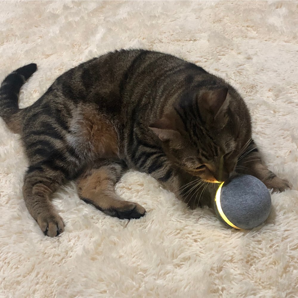 Cat Toy Bouncing Ball - Image 3
