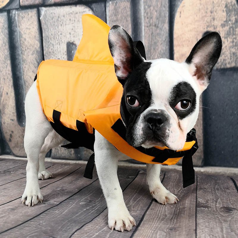 Shark Fin Dog Life Vest - Image 4