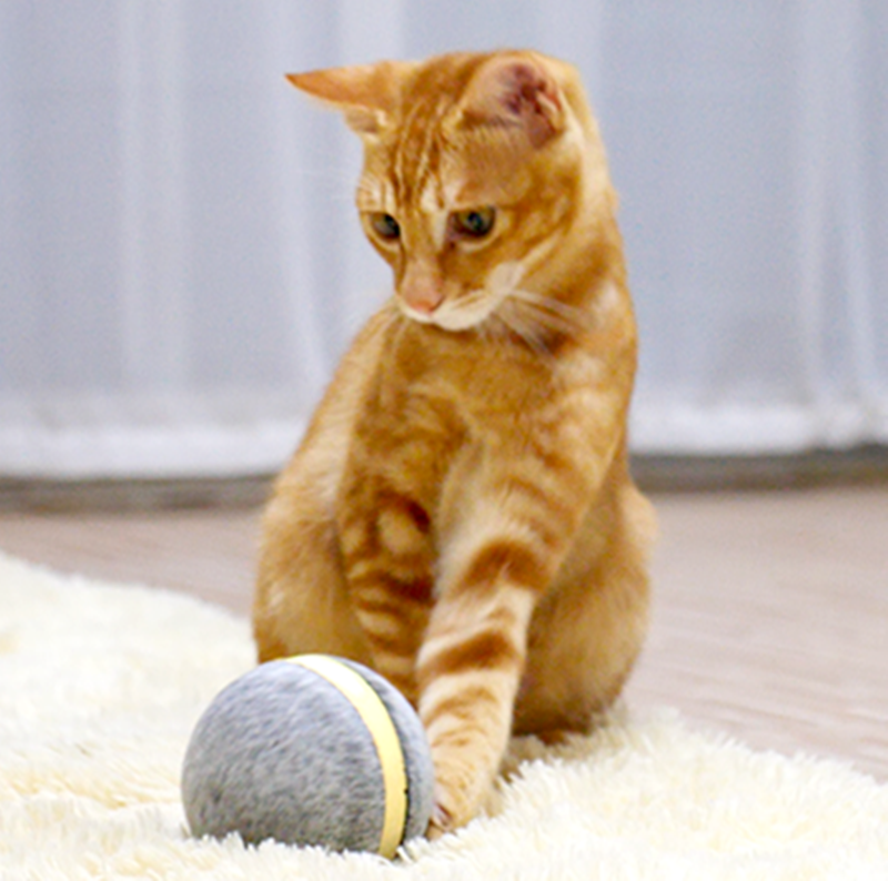 Cat Toy Bouncing Ball - Image 6