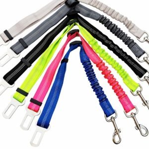 Adjustable Elastic Dog Tether with Seat Belt Buckle Clip