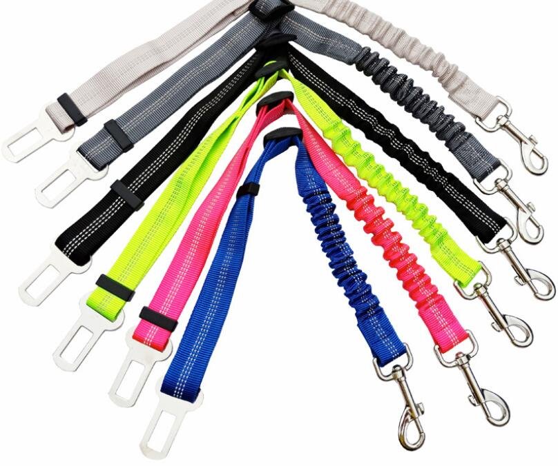 Adjustable Elastic Dog Tether with Seat Belt Buckle Clip