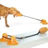 Double Rope Ball Tug Toy with Suction Cup