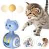 Interactive Tumbler Cat Toy with Feather