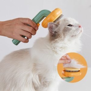 Self-Cleaning Pumpkin Slicker Brush