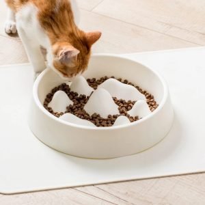 Mountain Slow Feeder Bowl
