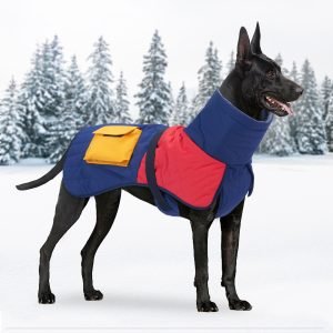 Padded Winter Dog Coat