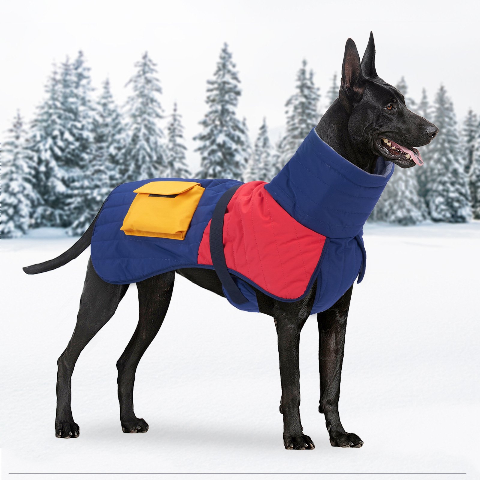 Padded Winter Dog Coat