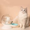 Snail-Shaped Automatic Pet Water Dispenser