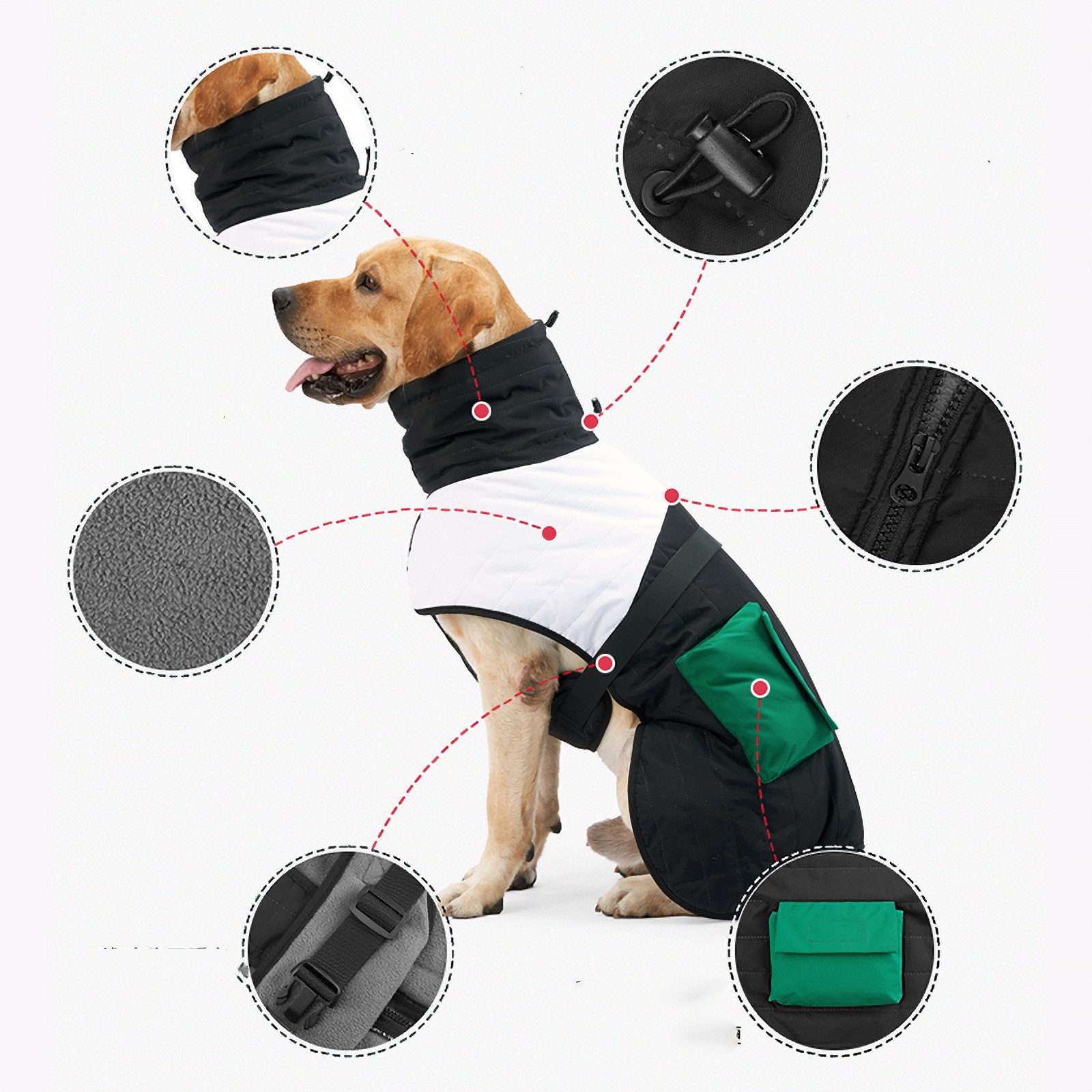 Padded Winter Dog Coat - Image 5