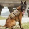 Adjustable Tactical Dog Harness with MOLLE Webbing