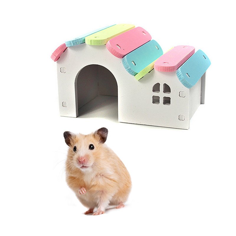 Hamster Hideout House with Ladder
