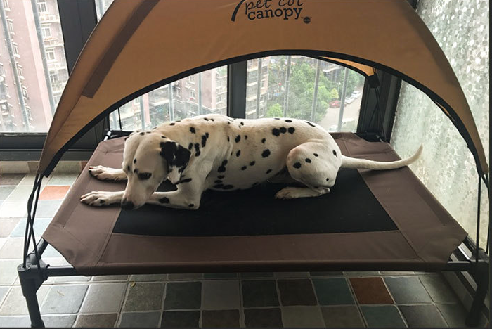 Raised Dog Cot Bed with Removable Washable Cover - Image 2