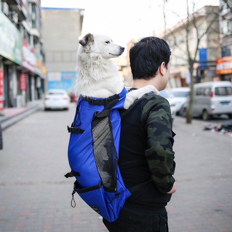 Breathable Dog Carrier Backpack for Small Dogs - Image 8