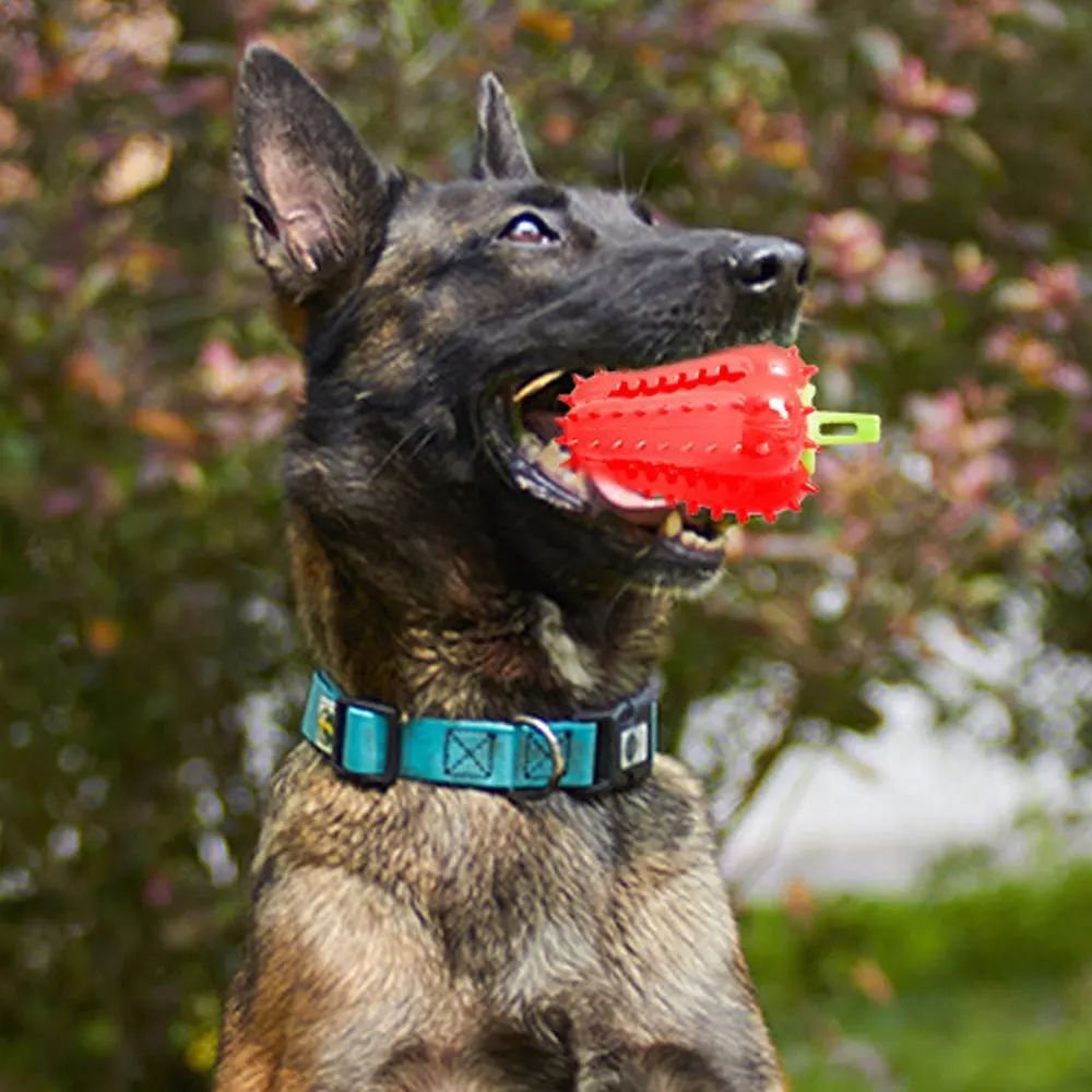 Chili Treat-Dispensing Chew Toy - Image 7