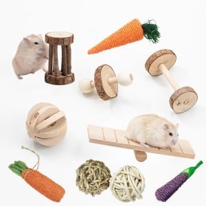 Wooden Chew Toy Sets for Small Pets