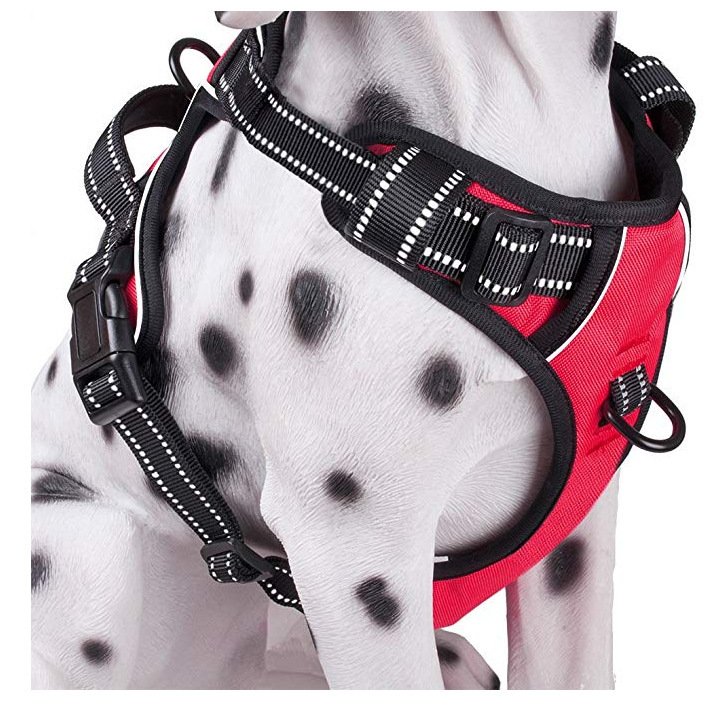 Reflective Dog Harness Vest, Sizes M to 2XL - Image 3
