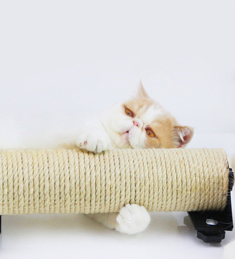 Sisal Scratching Post for Cat Cages - Image 3
