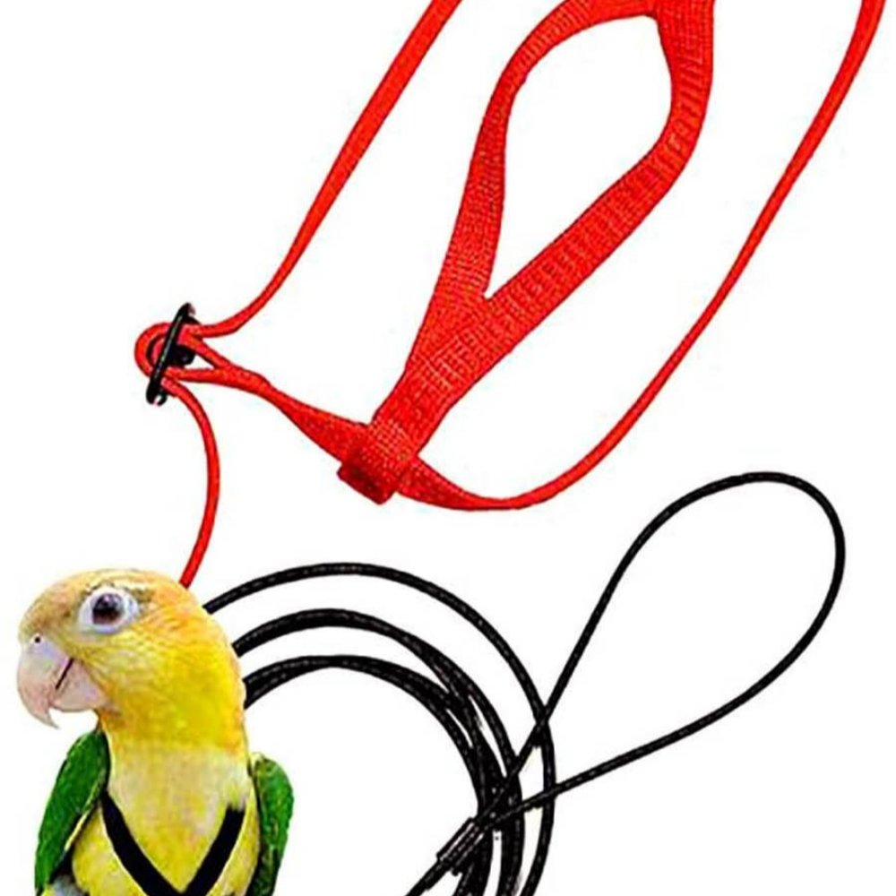 Parrot Flight Harness with Leash - Image 4