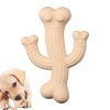 Cactus Chew Toy for Dogs