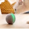 Cat Toy Bouncing Ball