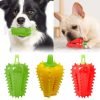 Chili Treat-Dispensing Chew Toy