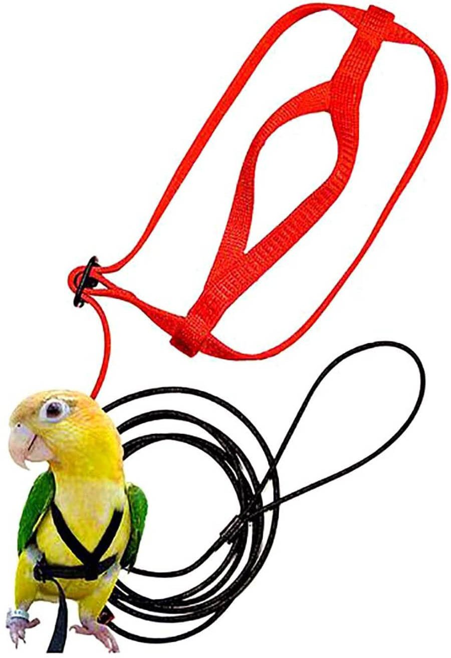 Parrot Flight Harness with Leash - Image 3