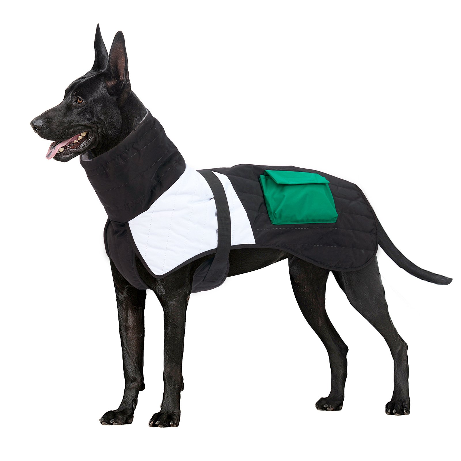 Padded Winter Dog Coat - Image 3