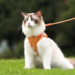 Anti-Escape Cat Harness and Leash Set