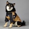 Gold Dog Raincoat, Sizes S to 5XL