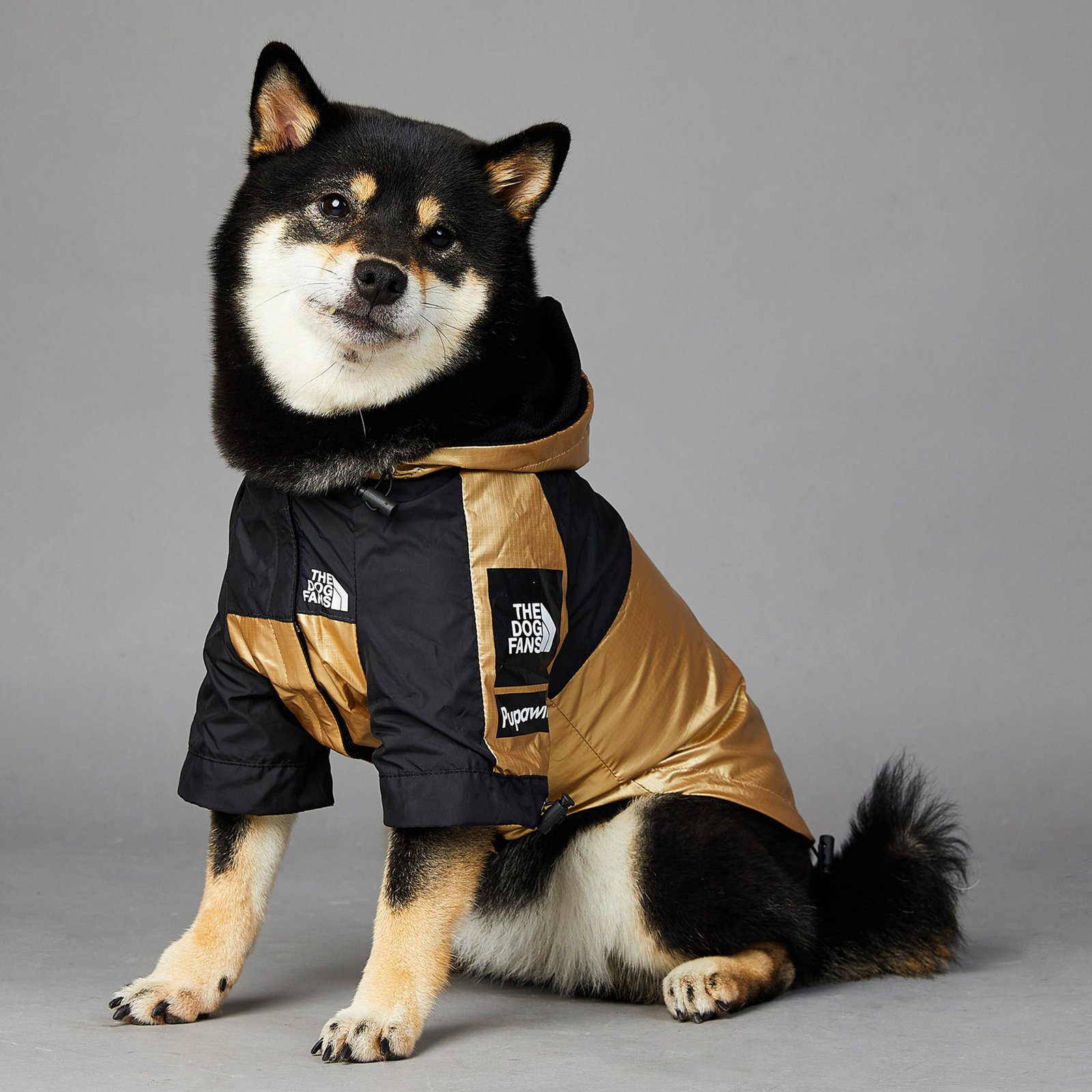Gold Dog Raincoat, Sizes S to 5XL