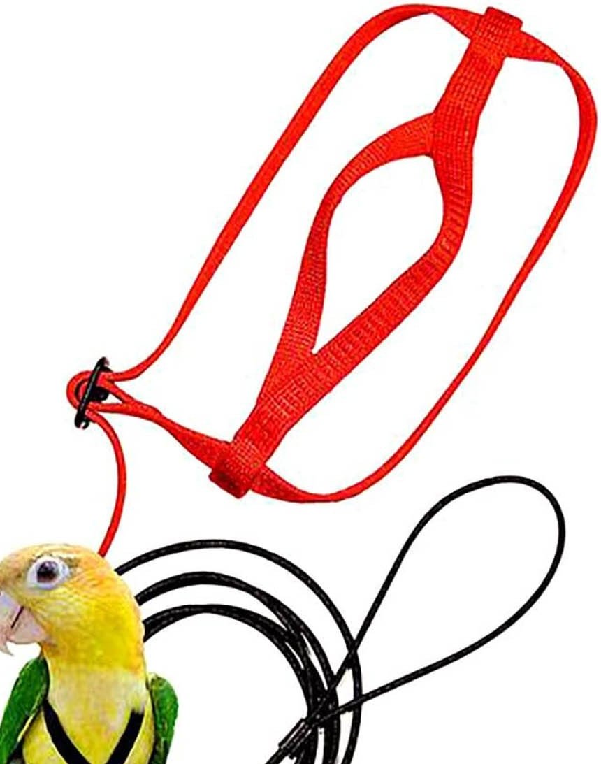 Parrot Flight Harness with Leash - Image 2