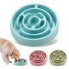 Maze Slow Feeder Bowl for Dogs
