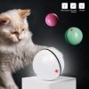 Rolling LED Cat Ball with Feathers and Catnip