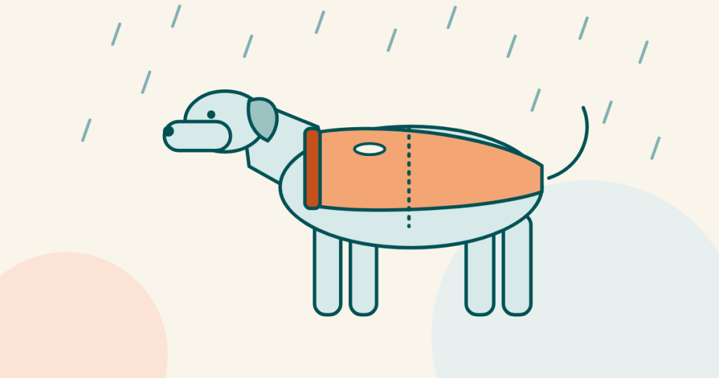 Illustration of a dog in an orange raincoat standing in the rain.