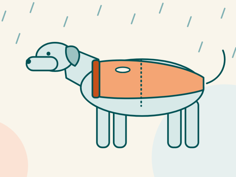 Illustration of a dog in an orange raincoat standing in the rain.