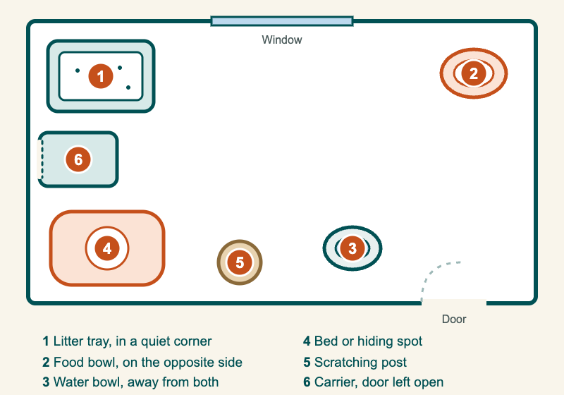 Top-down drawing of a quiet starter room for a new cat. The litter tray sits in one corner, the food bowl on the opposite side, the water bowl away from both, with a bed, a scratching post and an open carrier along the walls.