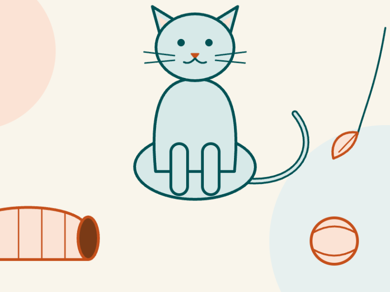 Illustration of a sitting cat looking up at a feather toy on a line, with a tunnel on one side and a ball on the other.